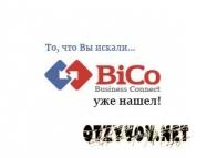 Бико: информационное агенство