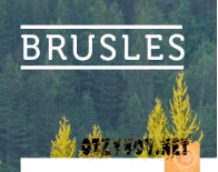 BRUSLES — пиломатериалы