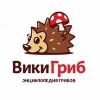 WikiGrib.ru